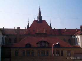 Zvi