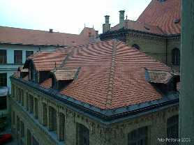 Zvi pohad
