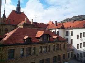 Zvi pohad